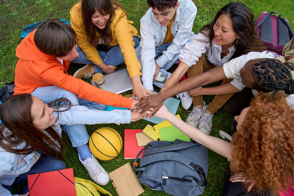 ndis goals social and mmunity community participation
